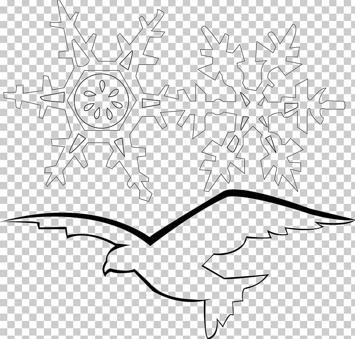Drawing Line Art Cartoon Point PNG, Clipart, Angle, Area, Artwork, Beak, Black Free PNG Download