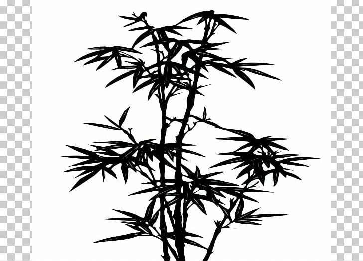 Light Bamboo PNG, Clipart, Black Background, Black Hair, Botany, Branch, Cartoon Free PNG Download