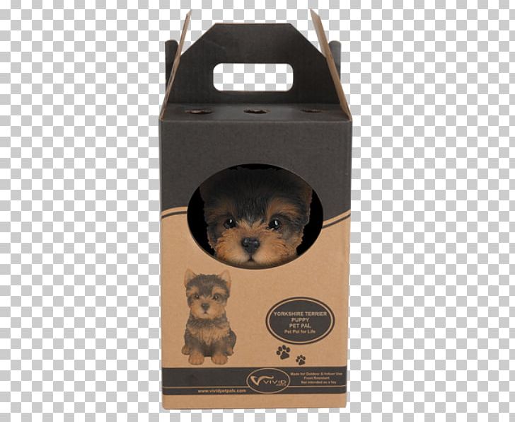 Puppy Beagle Miniature Schnauzer Cockapoo Bichon Frise PNG, Clipart, Animal, Animals, Beagle, Bichon Frise, Box Free PNG Download