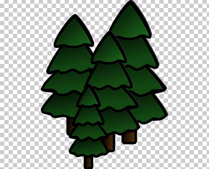 Redwood National And State Parks Redwoods Coast Redwood PNG, Clipart, Christmas Decoration, Christmas Ornament, Christmas Tree, Coast Redwood, Conifer Free PNG Download