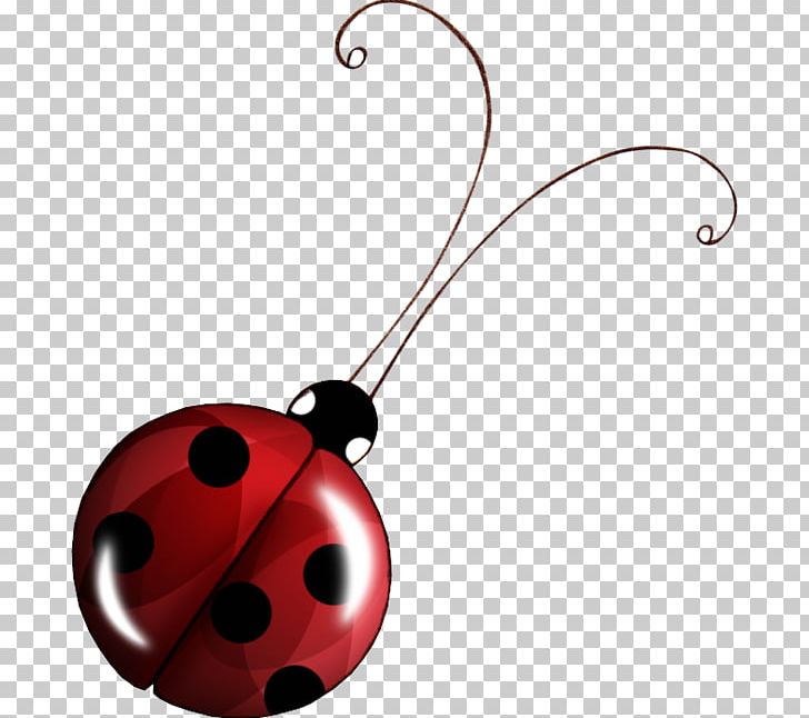 Insect Seven-spot Ladybird Animal PNG, Clipart, Animal, Animals, Antenna, Author, Beetle Free PNG Download