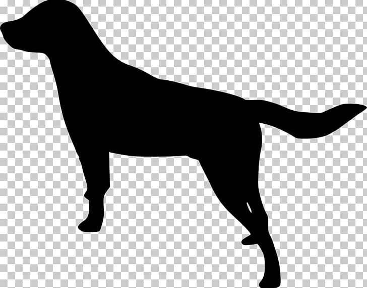 Labrador Retriever Puppy PNG, Clipart, Animals, Black, Black And White, Canidae, Carnivoran Free PNG Download