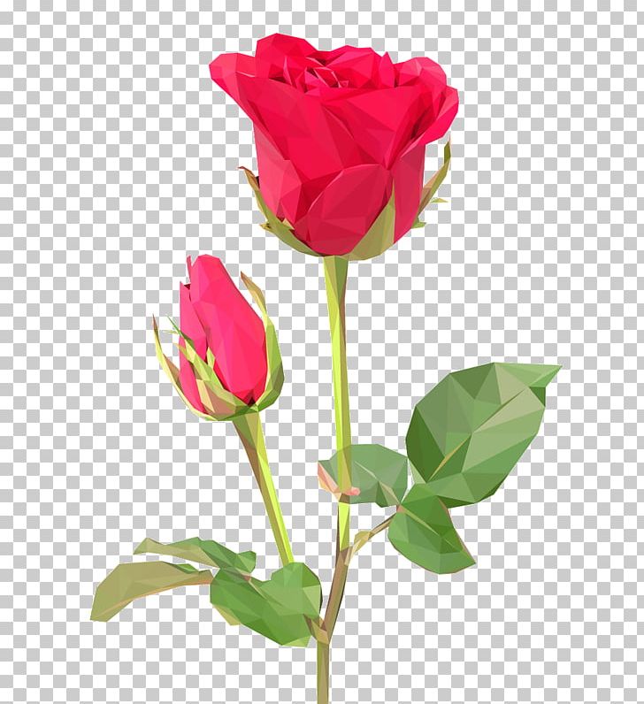 Rose Flower Bouquet Desktop Stock Photography PNG, Clipart, Beautiful Roses, Bud, China Rose, Cut Flowers, Desktop Wallpaper Free PNG Download