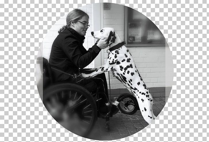 Black And White Wheelchair Walking Human Behavior PNG, Clipart, Beauty M Kosmetik, Behavior, Black And White, Dog, Ebook Free PNG Download
