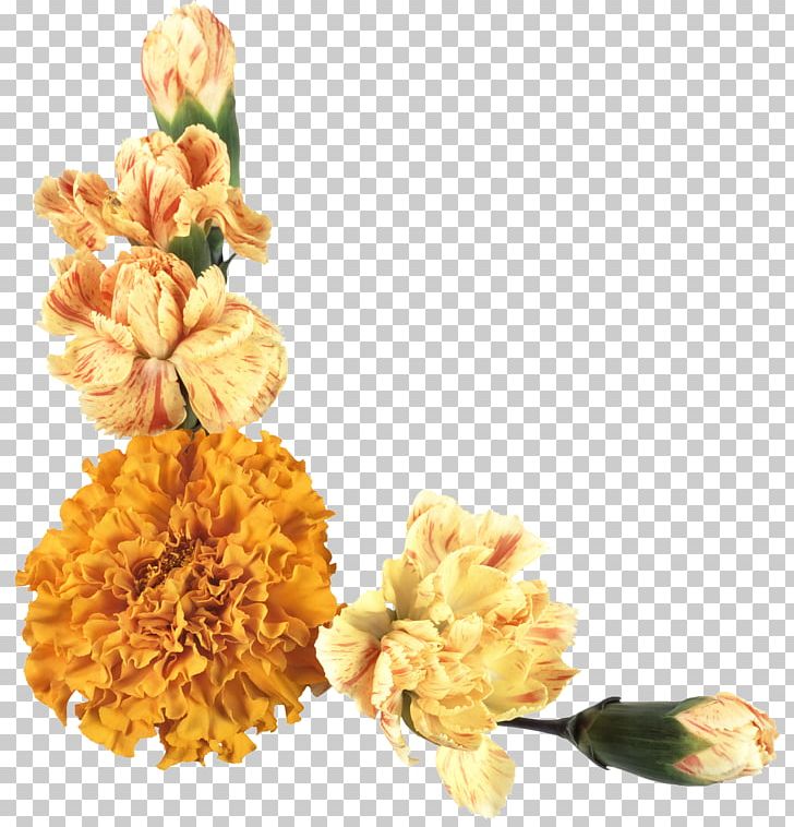 Cut Flowers Floral Design PNG, Clipart, Albom, Computer Icons, Cut Flowers, Download, Floral Design Free PNG Download