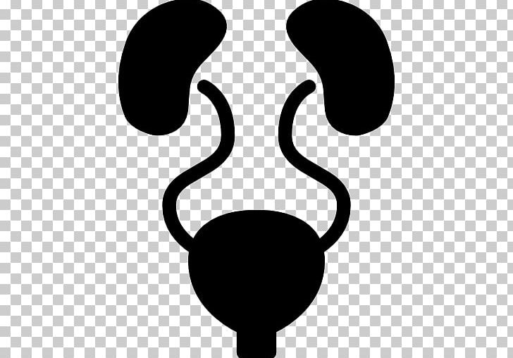 Excretory System Kidney Urinary Bladder Urology PNG, Clipart, Artwork, Black, Black And White, Computer Icons, Download Free PNG Download