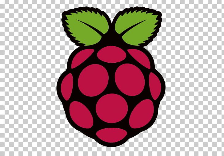 Raspberry Pi Raspbian Elektor OpenVPN Computer Software PNG, Clipart, Artwork, Circle, Computer, Computer Servers, Computer Software Free PNG Download