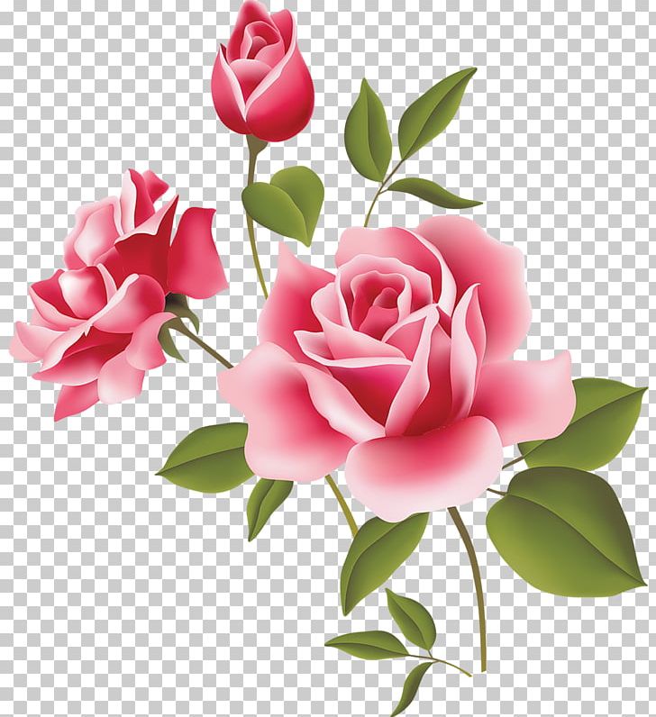 Unconditional Love Otto Florist & Gifts Gratitude Happiness PNG, Clipart, Artificial Flower, Babydoll, Cut Flowers, Floribunda, Flower Free PNG Download