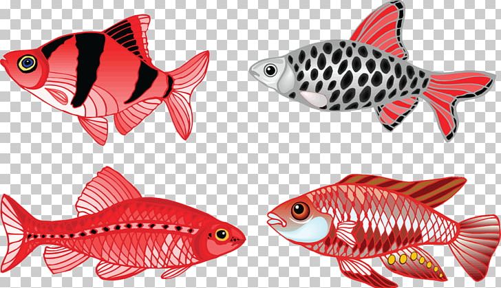 Veiltail Shark Aquarium Fish Fin PNG, Clipart, Animal Figure, Animals, Aquarium, Cetacea, Coral Reef Fish Free PNG Download