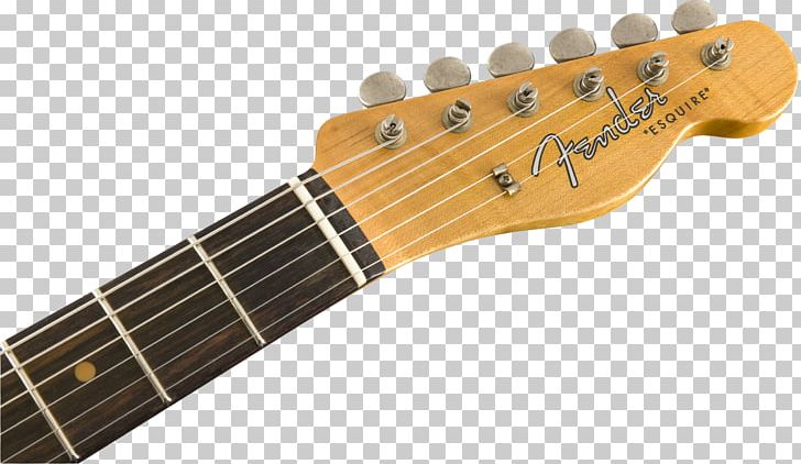Fender Stratocaster Stevie Ray Vaughan Stratocaster Fender Telecaster Fender Musical Instruments Corporation Guitar PNG, Clipart,  Free PNG Download