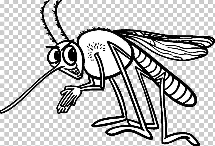 Mosquito Insect Coloring Book PNG, Clipart, Art, Artwork, Beak, Black And White, Child Free PNG Download