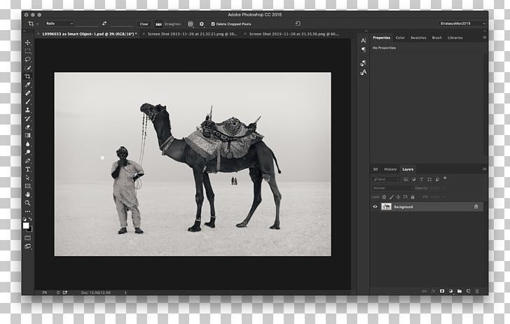 Photography Adobe Creative Cloud Great Rann Of Kutch Kutch District PNG, Clipart, Adobe Creative Cloud, Adobe Systems, Behance, Black And White, Brand Free PNG Download