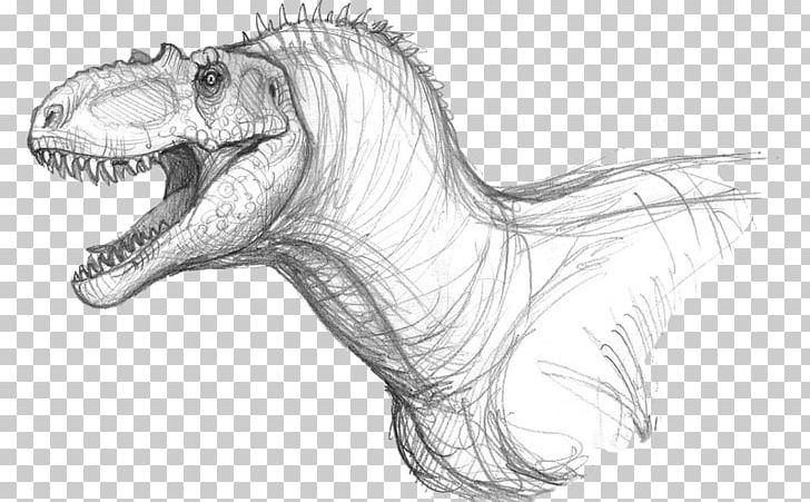 Tyrannosaurus Albertosaurus Allosaurus Dinosaur Velociraptor PNG, Clipart, Allosaurus, Art, Artwork, Black And White, Daspletosaurus Free PNG Download