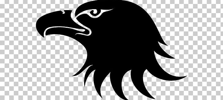 Eagle PNG, Clipart, Eagle Free PNG Download