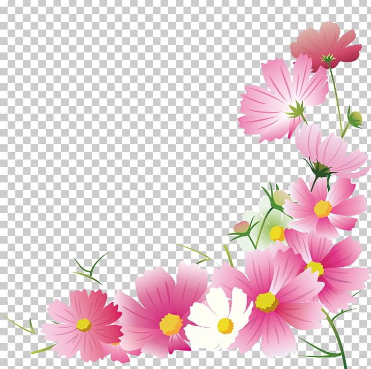 Garden Cosmos Flower Floral Design Illustration Autumn PNG, Clipart, Annual Plant, Autumn, Blossom, Chrysanths, Color Free PNG Download