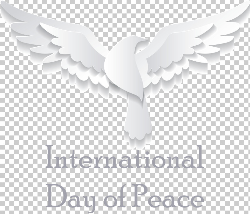 International Day Of Peace World Peace Day PNG, Clipart, Beak, Biology, Bird Of Prey, Birds, International Day Of Peace Free PNG Download