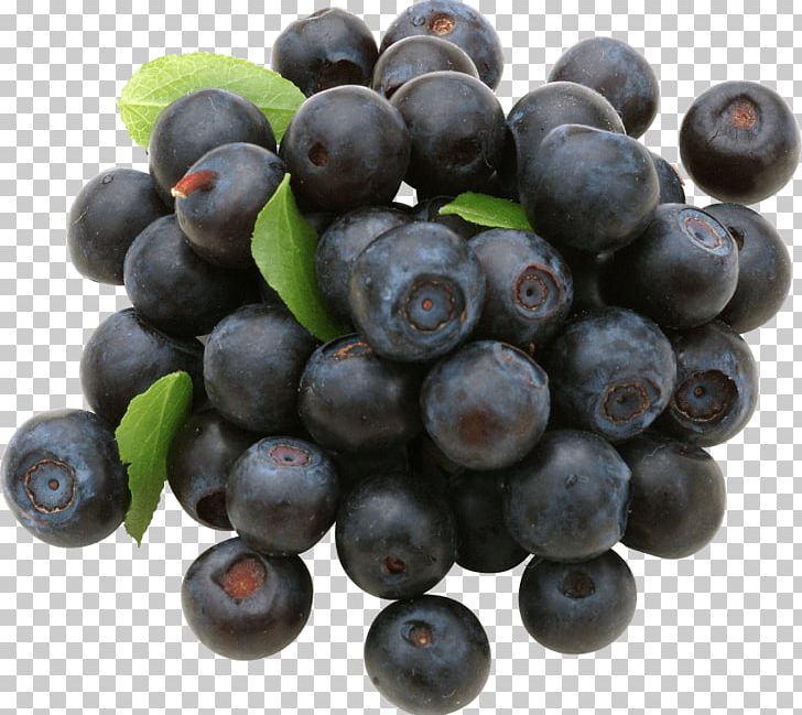 Blueberry Bilberry Huckleberry Cranberry PNG, Clipart, Aristotelia Chilensis, Berry, Bilberry, Blueberry, Chokeberry Free PNG Download