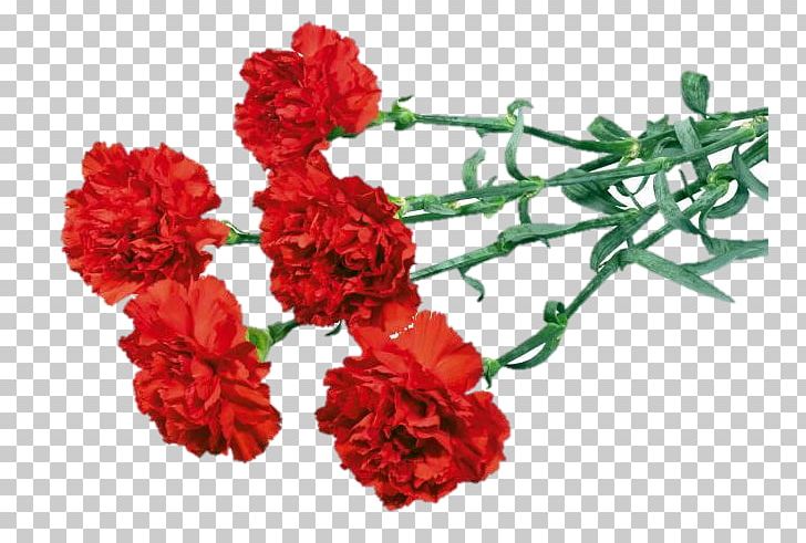 Carnation Flower Bouquet Red PNG, Clipart, Artificial Flower, Carnation, Color, Cut Flowers, Dianthus Free PNG Download