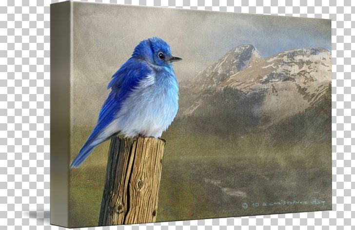 Mountain Bluebird Painting Canvas Print Art PNG, Clipart, Art, Artcom, Beak, Bird, Bluebird Free PNG Download