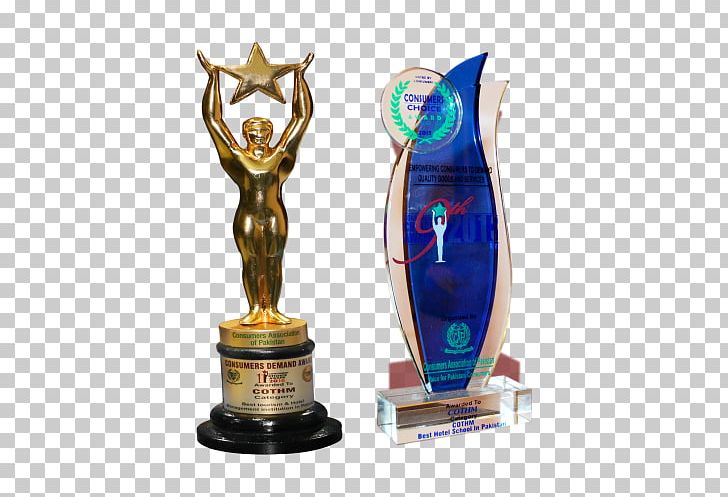 COTHM Karachi PNG, Clipart, Award, Business, Ceremony, Consumer Choice, Figurine Free PNG Download