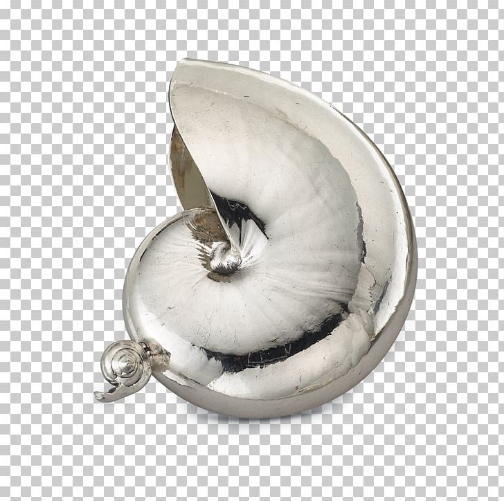 Jewellery Buccellati Silver Seashell Nautilidae PNG, Clipart, Argent, Argento, Art, Body Jewelry, Buccellati Free PNG Download