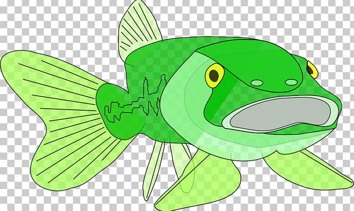 Largemouth Bass Fish PNG, Clipart, Amphibian, Animal, Animals, Bass, Bass Fishing Free PNG Download
