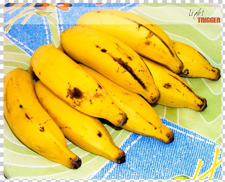 Saba Banana Cooking Banana Banaani PNG, Clipart, Banana, Banana Family, Cooking, Cooking Banana, Cooking Plantain Free PNG Download