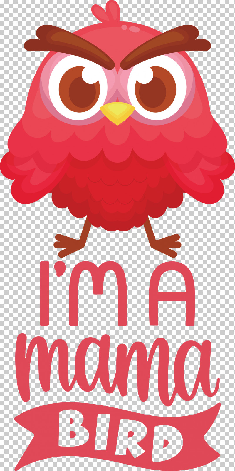 Mama Bird Bird Quote PNG, Clipart, Barn Owl, Barred Owl, Bird, Bird Of Prey, Birds Free PNG Download