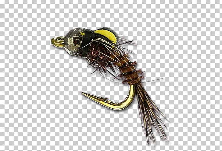 Fishing Bait Insect PNG, Clipart, Animals, Fishing, Fishing Bait, Fly, Insect Free PNG Download