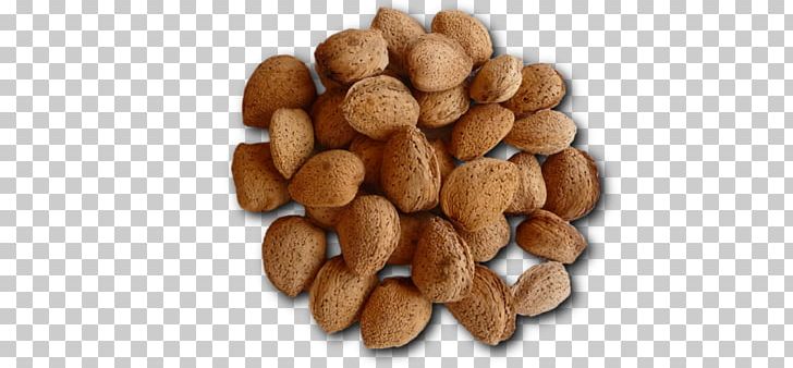 Mixed Nuts Tree Nut Allergy Peanut VY2 PNG, Clipart, Almond, Best In The World, Food, Ingredient, Miscellaneous Free PNG Download