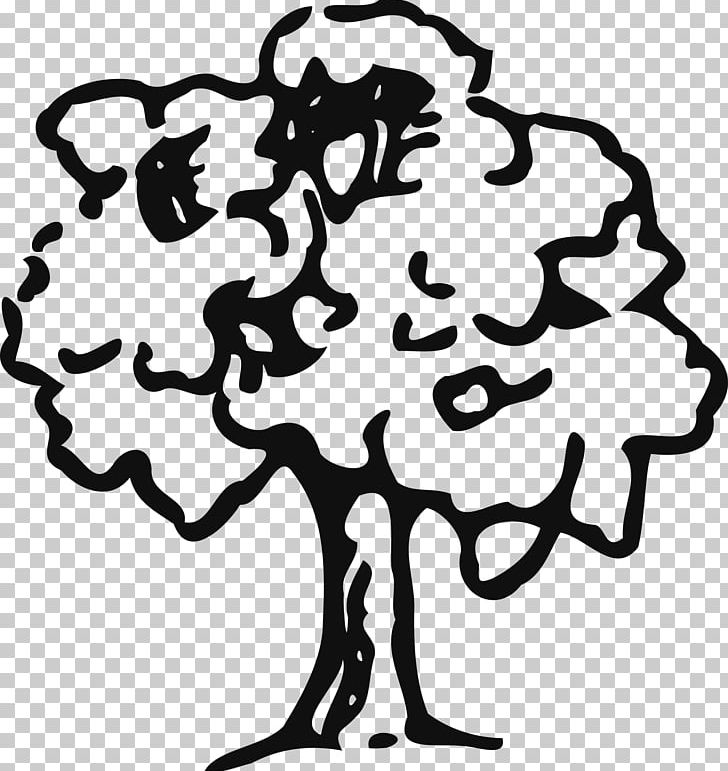 Tree Oak Drawing PNG, Clipart, Area, Artwork, Black, Black And White, Color Free PNG Download
