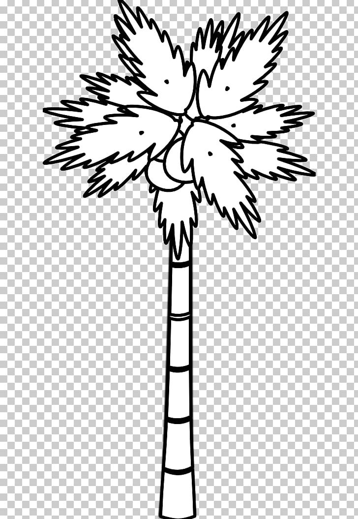 Arecaceae Black And White Tree PNG, Clipart, Arecaceae, Banana Coconut Cliparts, Black And White, Branch, Coconut Free PNG Download