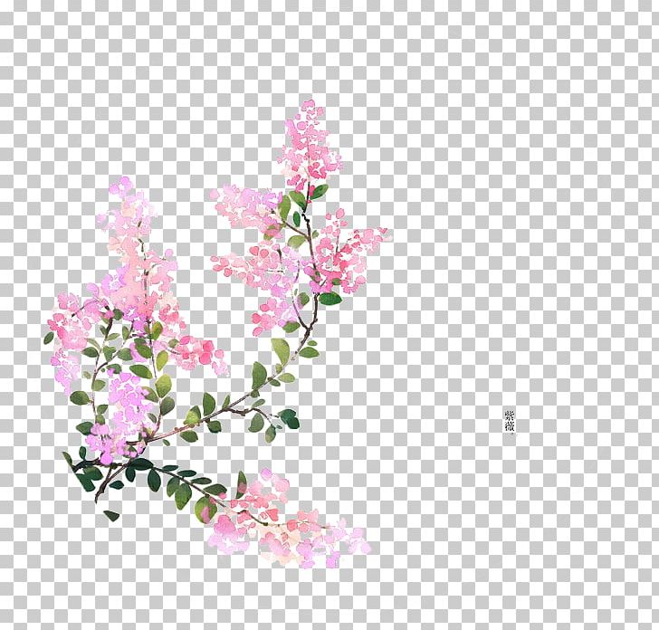Flower U8a69u8a5eu6b4cu8ce6 Illustrator Illustration PNG, Clipart, Blog, Blossom, Branch, Floral, Flower Arranging Free PNG Download