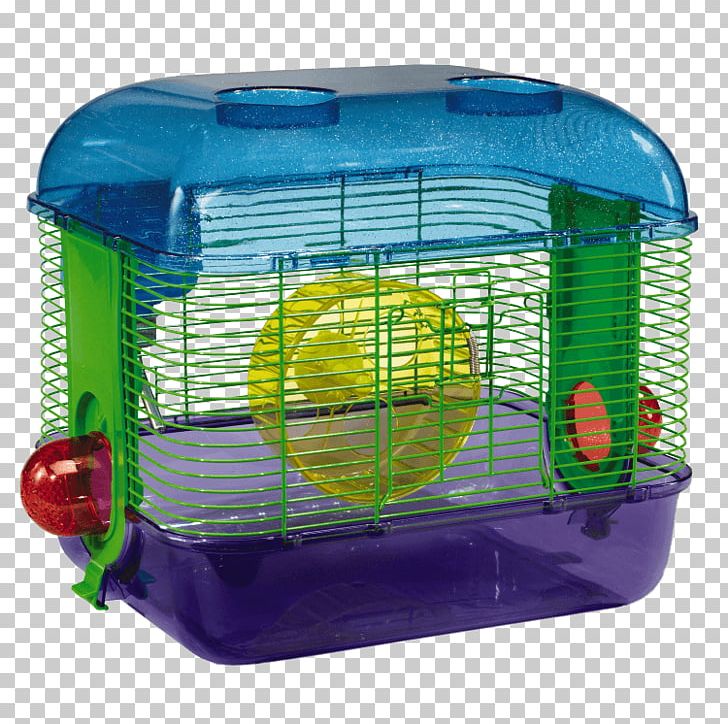 Hamster Cage Gerbil Hamster Cage Pet PNG, Clipart, Animal, Cage, Djungarian Hamster, Fancy Rat, Gerbil Free PNG Download