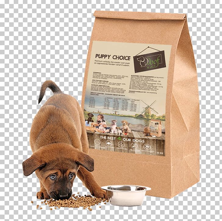 Puppy Dog Food Dog Breed PNG, Clipart, Animals, Best Choice, Crossbreed, Dog, Dog Breed Free PNG Download