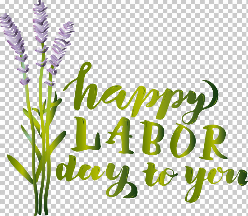 Lavender PNG, Clipart, Biology, Commodity, Flower, Grasses, Herbal Medicine Free PNG Download