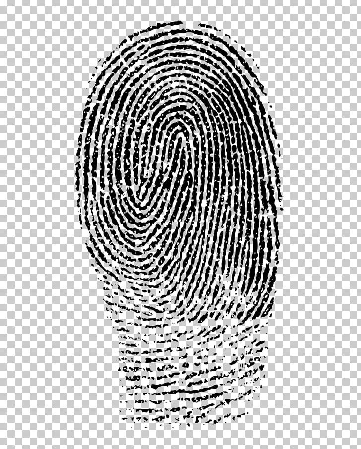 Fingerprint PNG, Clipart, Biometrics, Black And White, Circle, Finger, Fingerprint Free PNG Download