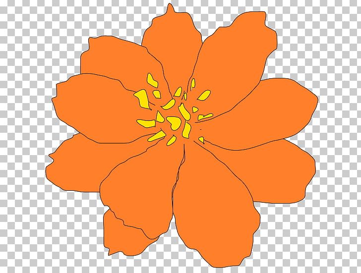 Flower PNG, Clipart, Art, Cosmos A Spacetime Odyssey, Drawing, Flora, Floral Design Free PNG Download