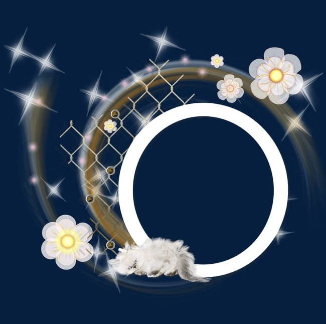 Round Frame PNG, Clipart, Border, Bright, Circles, Dream, Flower Free PNG Download