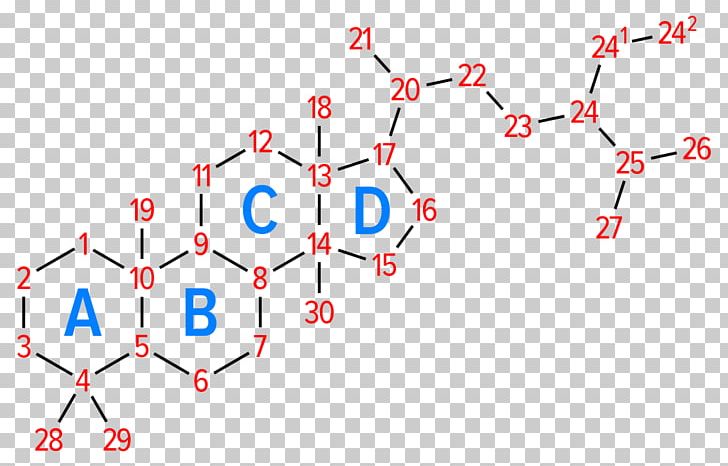 Steroid Hormone Phytosterol Cholesterol Cortisol PNG, Clipart, Angle, Area, Betamethasone Acetate, Cholesterol, Corticosteroid Free PNG Download