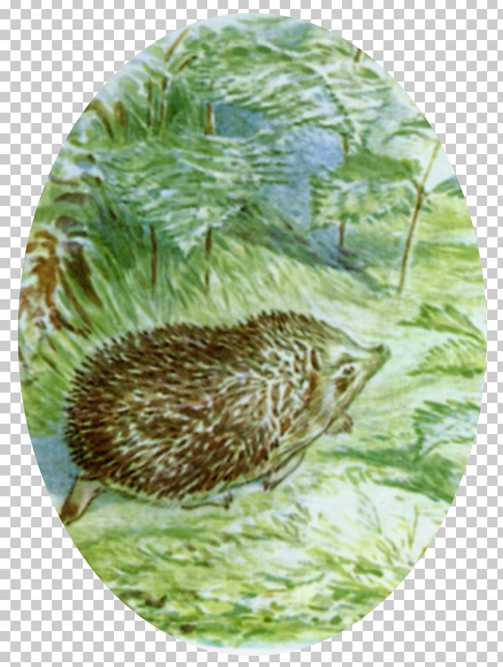 The Tale Of Mrs. Tiggy-Winkle The Tale Of Peter Rabbit The Tale Of Jemima Puddle-Duck The Tale Of Mr. Jeremy Fisher PNG, Clipart, Author, Child, Echidna, Fauna, Grass Free PNG Download
