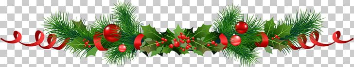 Christmas Decoration Common Holly Panettone Garland PNG, Clipart,  Free PNG Download