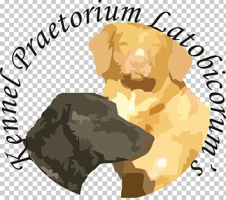 Labrador Retriever Chesapeake Bay Retriever Nova Scotia Duck Tolling Retriever Curly-coated Retriever PNG, Clipart, Animals, Carnivoran, Chesapeake Bay, Chesapeake Bay Retriever, Dog Free PNG Download