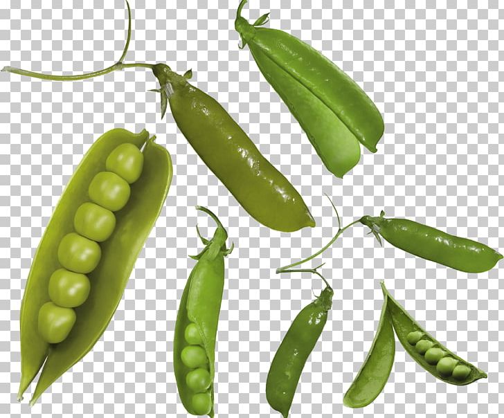 Snap Pea Common Bean Snow Pea Seed PNG, Clipart, Birds Eye Chili, Computer Icons, Food, Free, Fruit Free PNG Download
