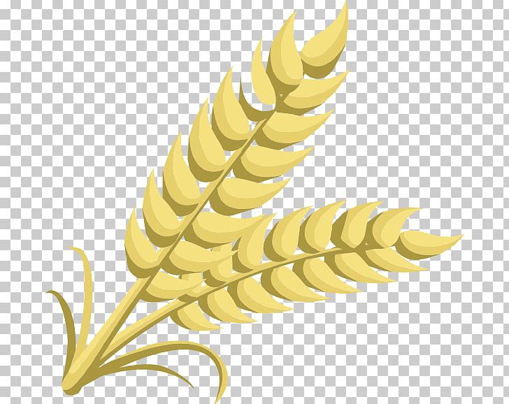 Grain Cereal Wheat PNG, Clipart, Barley, Beer, Cereal, Clip Art, Commodity Free PNG Download