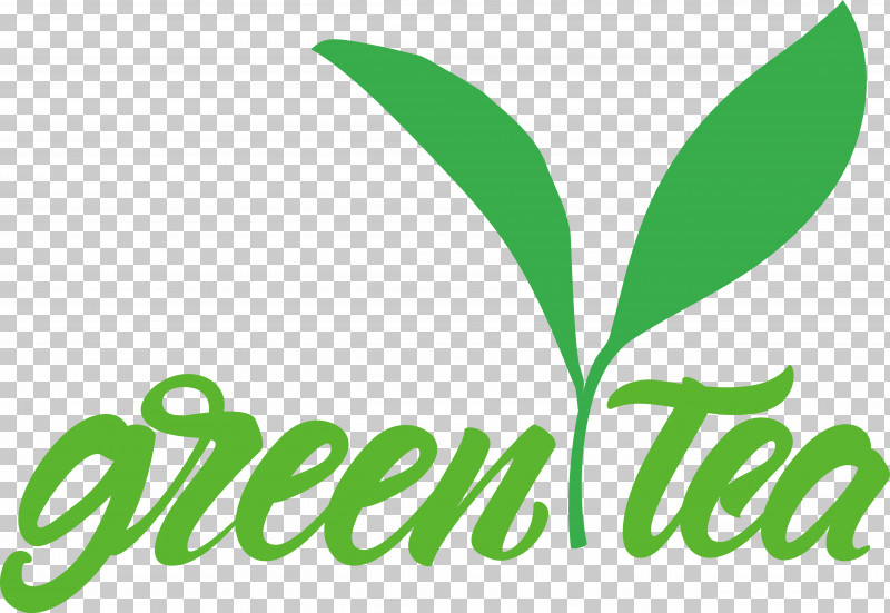 Leaf Plant Stem Logo Line Tree PNG, Clipart, Biology, Leaf, Line, Logo, Mathematics Free PNG Download