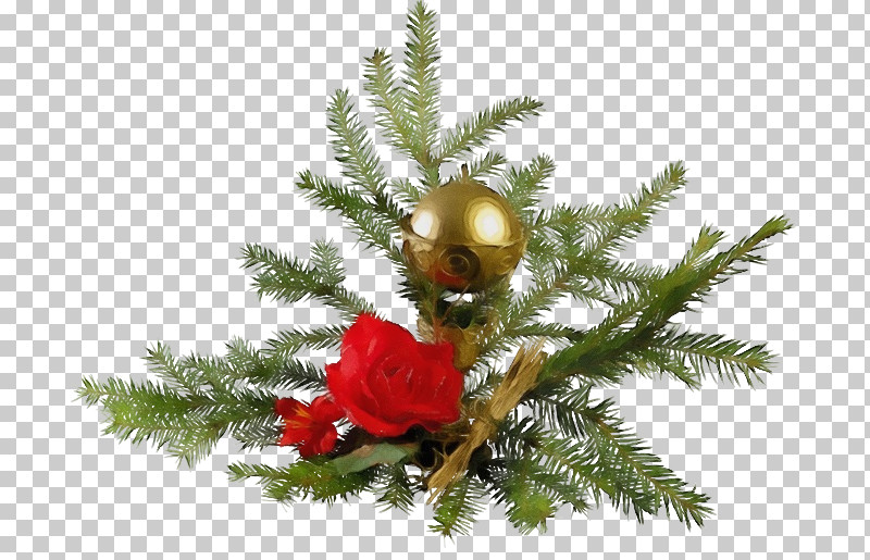 Christmas Tree PNG, Clipart, Branch, Christmas Decoration, Christmas Tree, Colorado Spruce, Conifer Free PNG Download