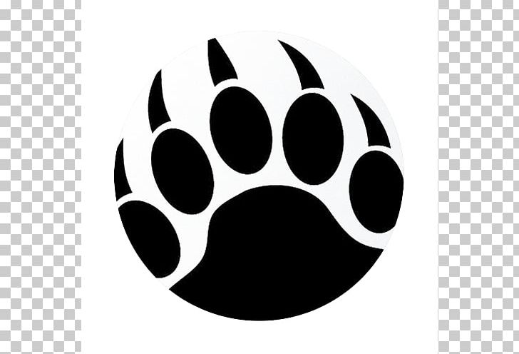 American Black Bear Amazon.com Window Decal PNG