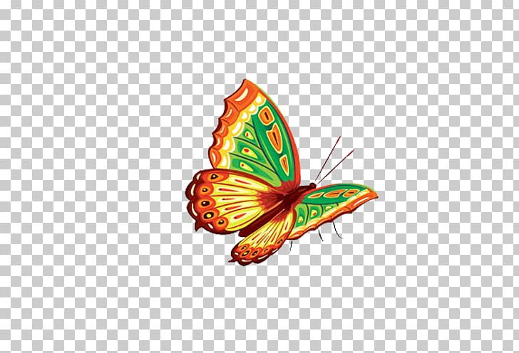 Butterfly Color PNG, Clipart, Animal, Arthropod, Blue Butterfly, Brush Footed Butterfly, Butterflies Free PNG Download