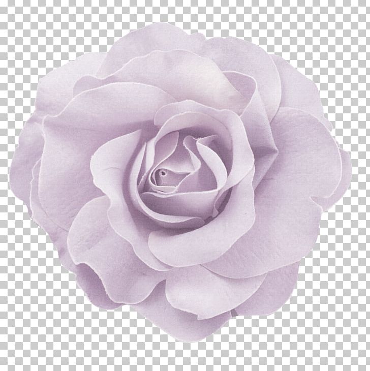 Flower Pink Color PNG, Clipart, Artificial Flower, Blue, Creative Work, Cut Flowers, Decorative Free PNG Download